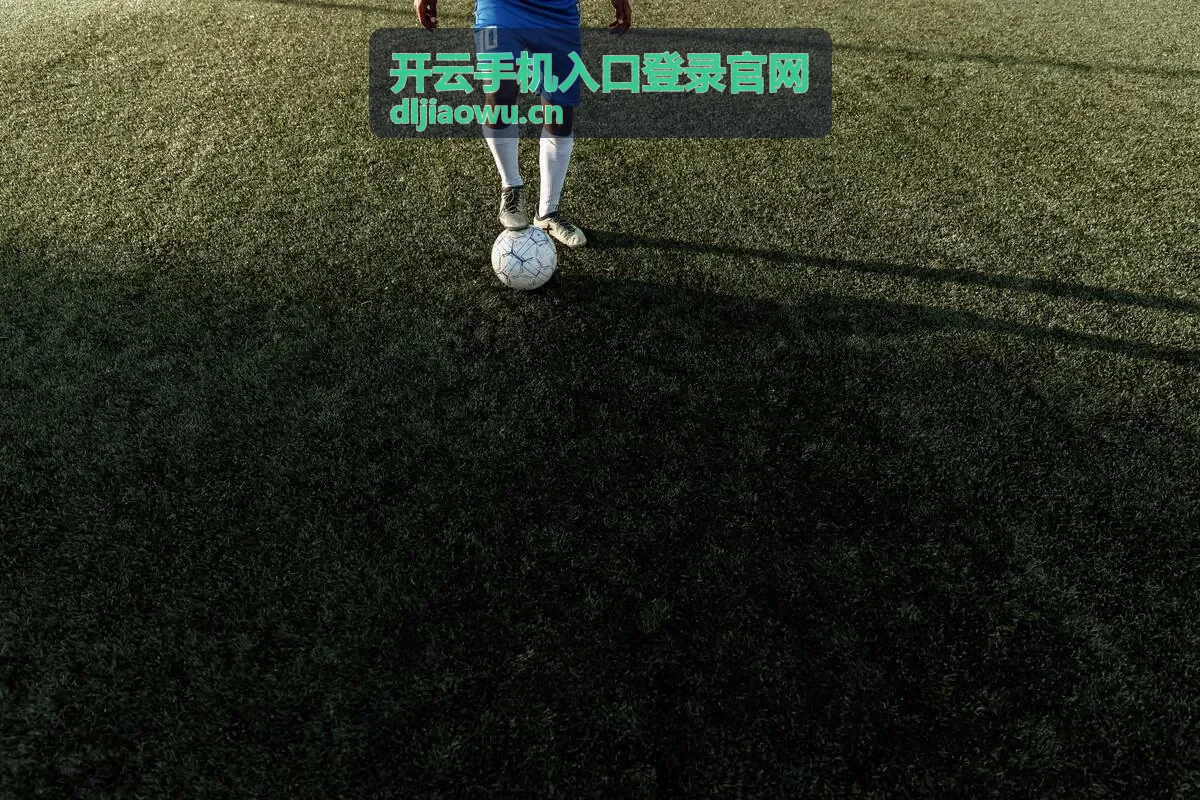 开云手机入口登录官网多端登录界面示意