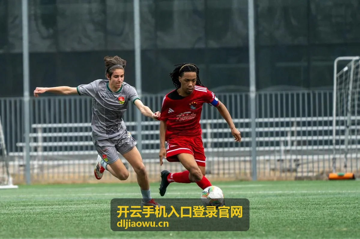 开云手机入口登录官网 - 输入账号并验证登录