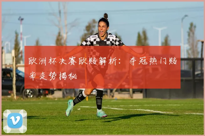 欧洲杯决赛欧赔解析：夺冠热门赔率走势揭秘