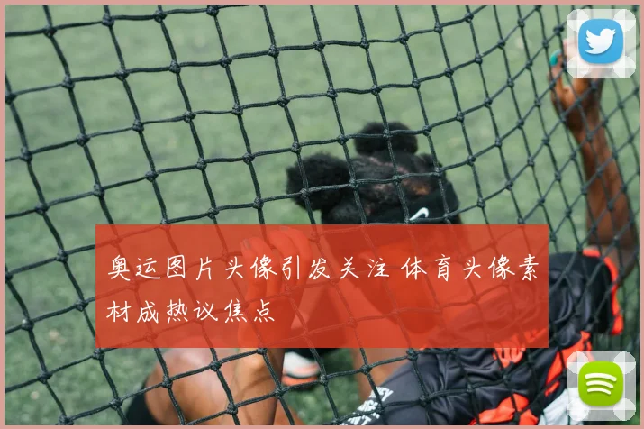 奥运图片头像引发关注 体育头像素材成热议焦点