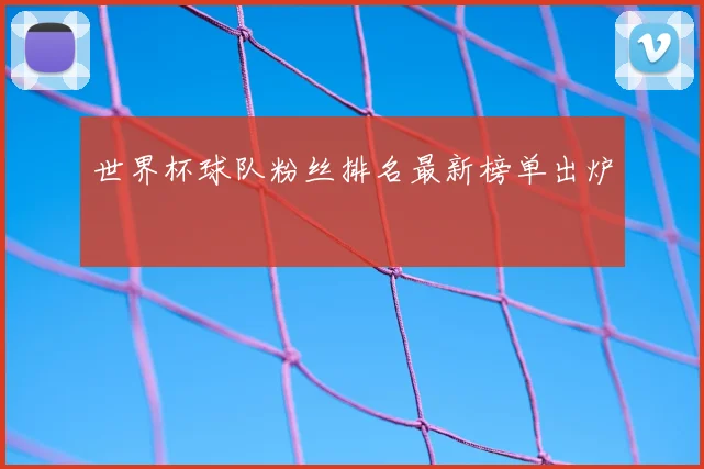 世界杯球队粉丝排名最新榜单出炉