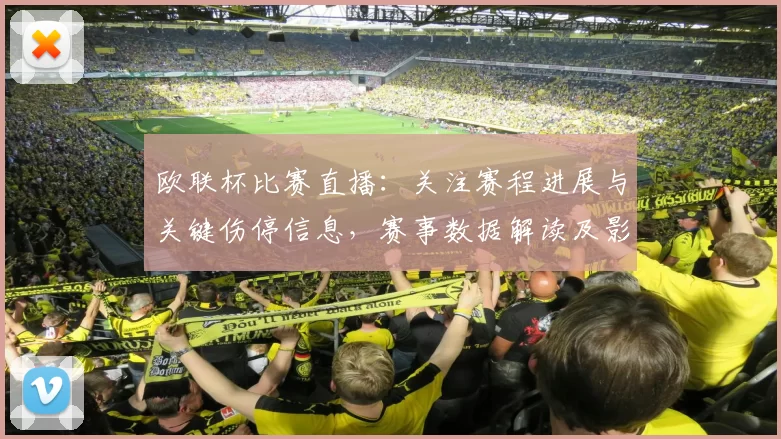 欧联杯比赛直播：关注赛程进展与关键伤停信息，赛事数据解读及影响分析