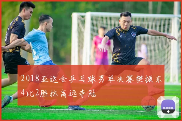 2018亚运会乒乓球男单决赛樊振东4比2胜林高远夺冠