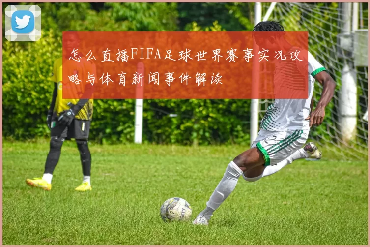 怎么直播FIFA足球世界赛事实况攻略与体育新闻事件解读