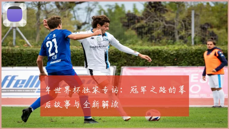 年世界杯独家专访:冠军之路的幕后故事与全新解读