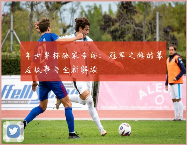 年世界杯独家专访:冠军之路的幕后故事与全新解读