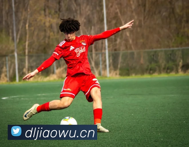 三十六阴阳技图解汇聚千姿百态道法奥义全景以阴阳之力化乾坤归隐